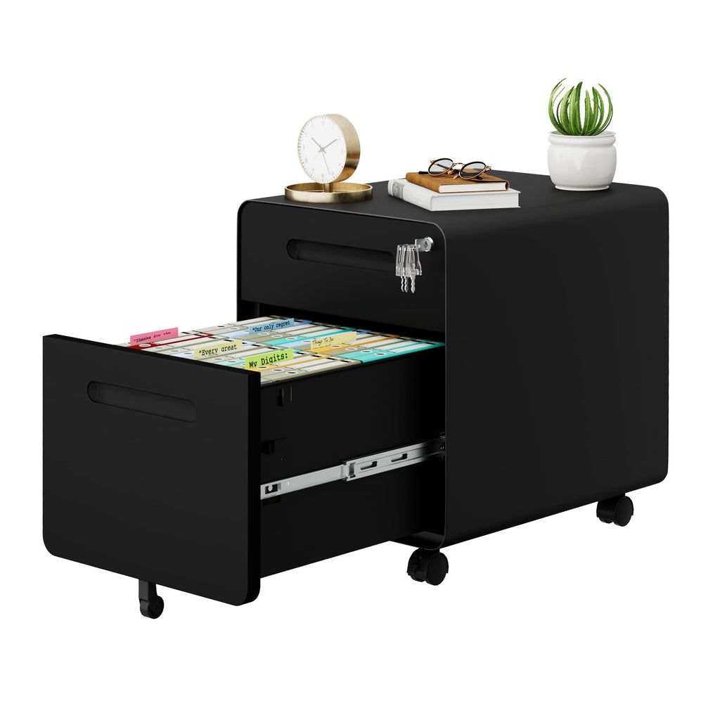2 Drawer Mobile File Cabinet with Lock C4232