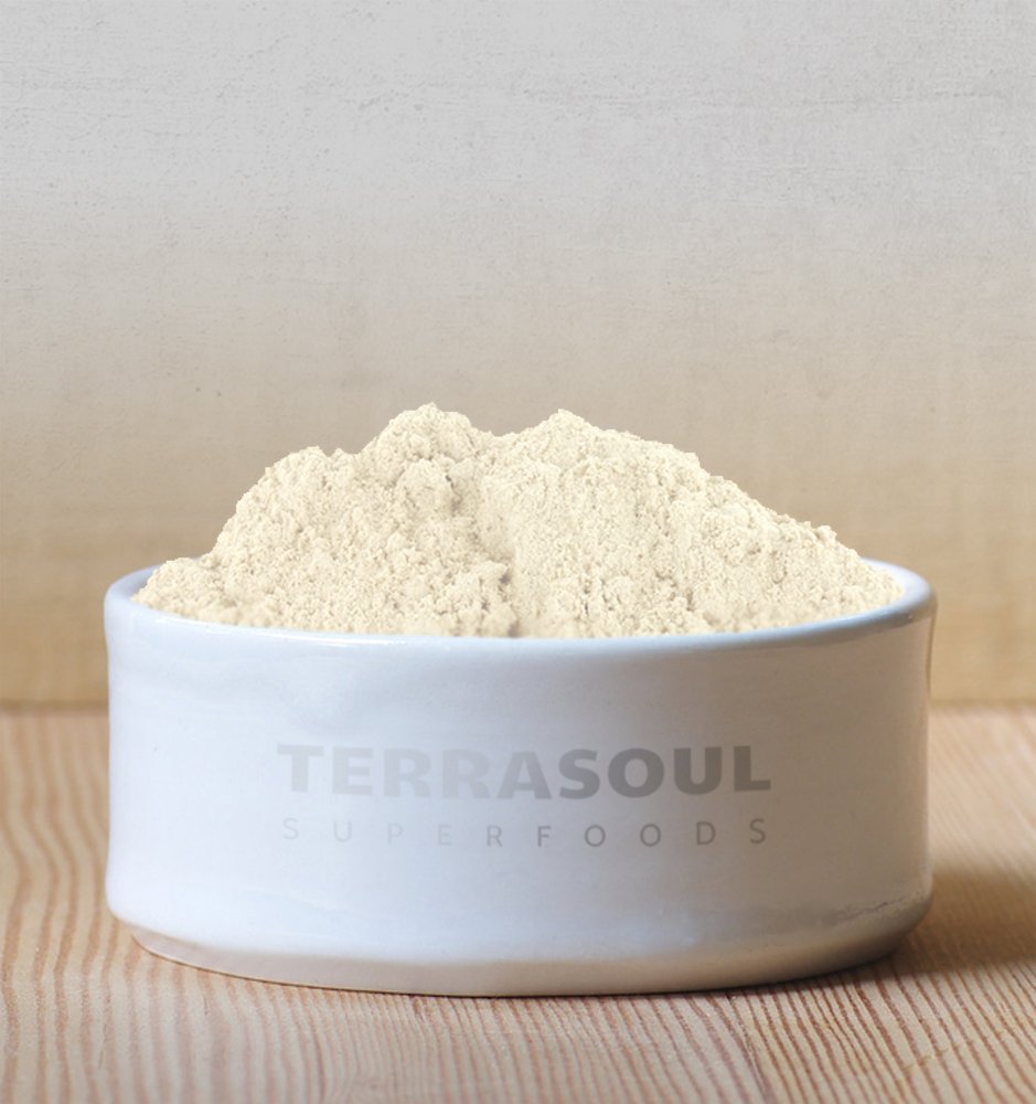 Organic Pea Protein 1.5 Pounds Z447
