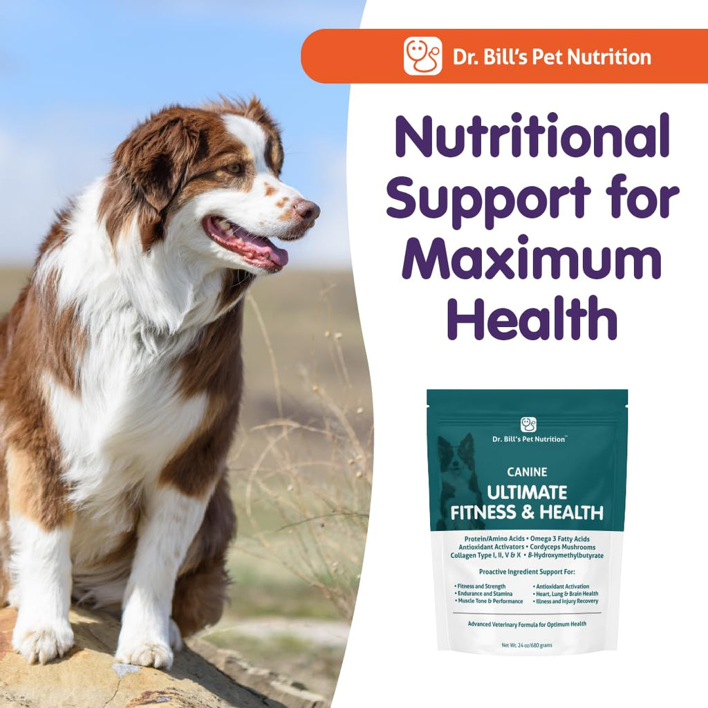 Daily Dog Multivitamin 340g C277