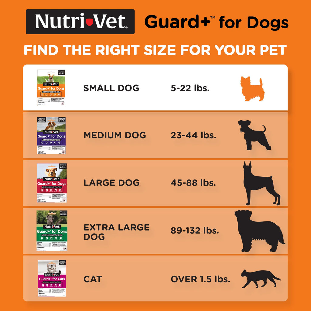 Flea Treatment 3 Doses Z321445