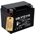 12V 11.2Ah Battery Y85243
