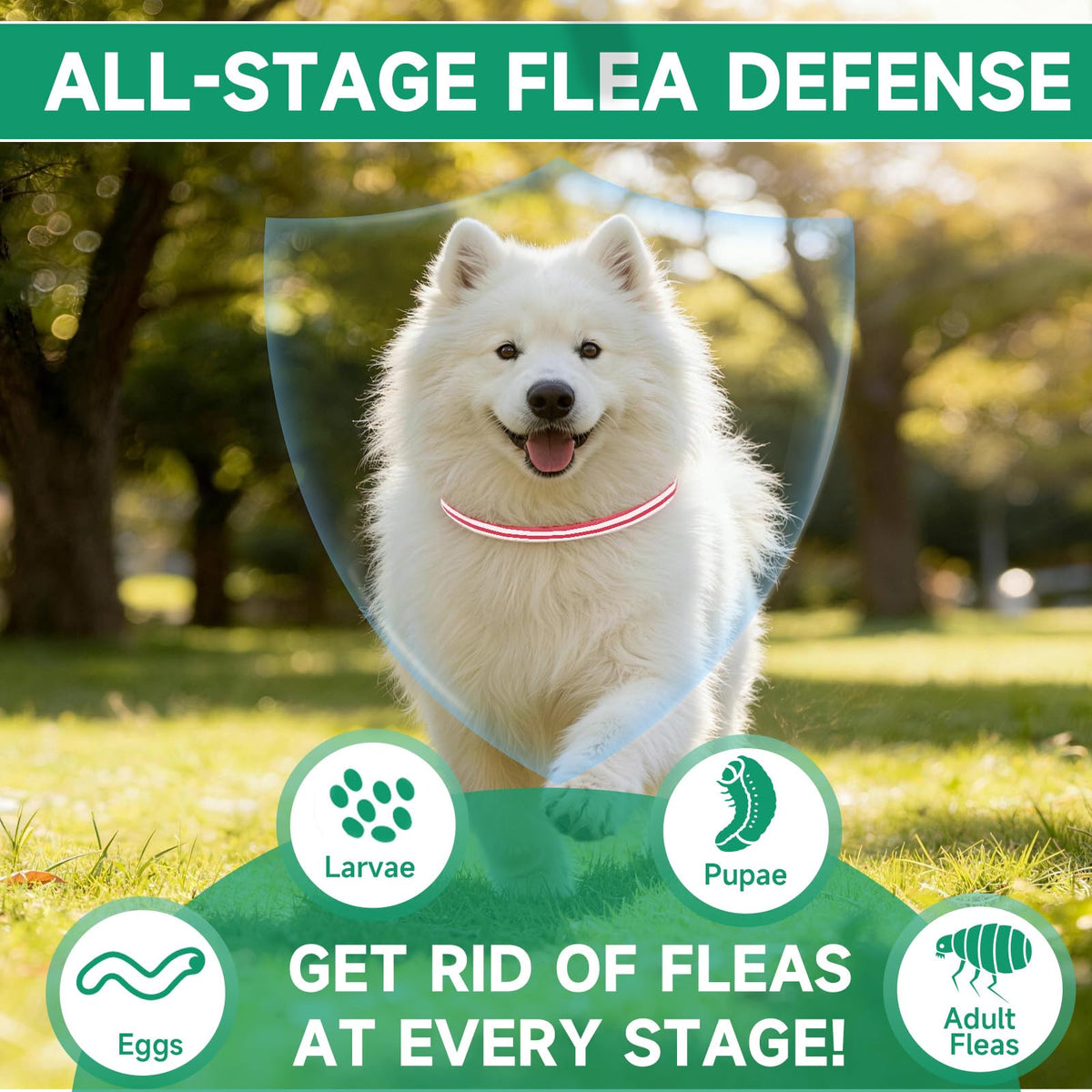 4 Pack Flea and Tick Collar for Dogs D72769