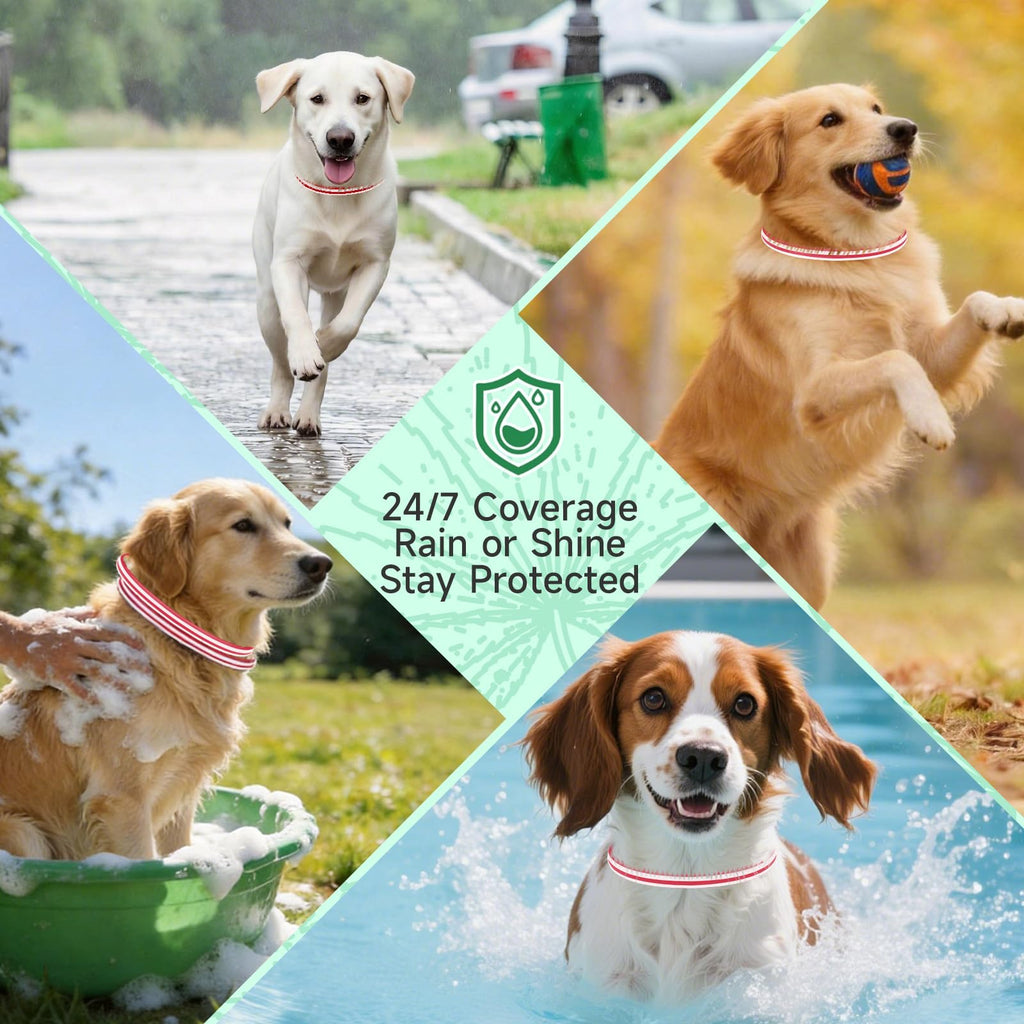 4 Pack Flea and Tick Collar for Dogs D72769