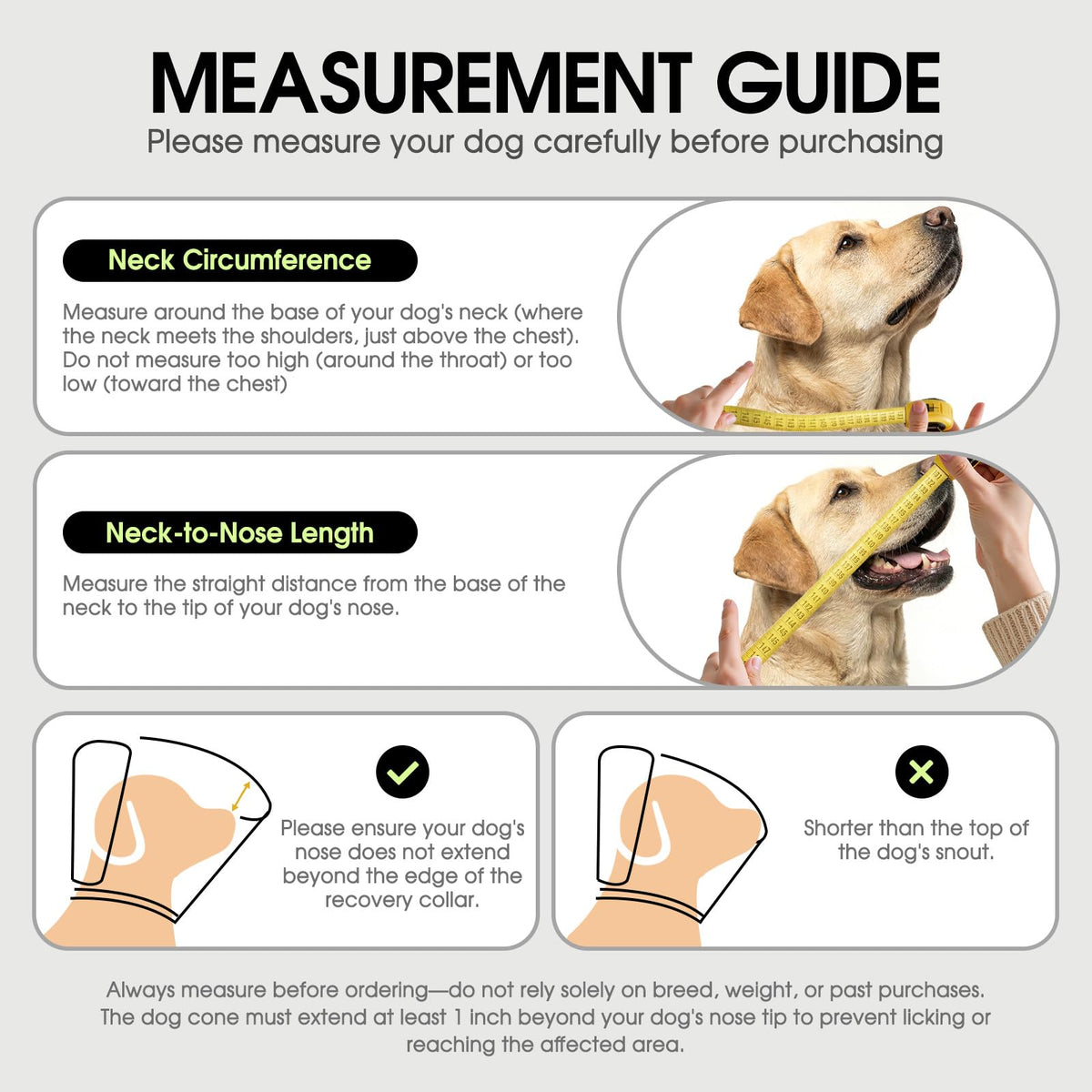 Soft Cone for Dogs J372826