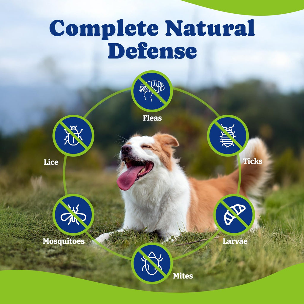 Flea & Tick Prevention for Dogs Chewables K990