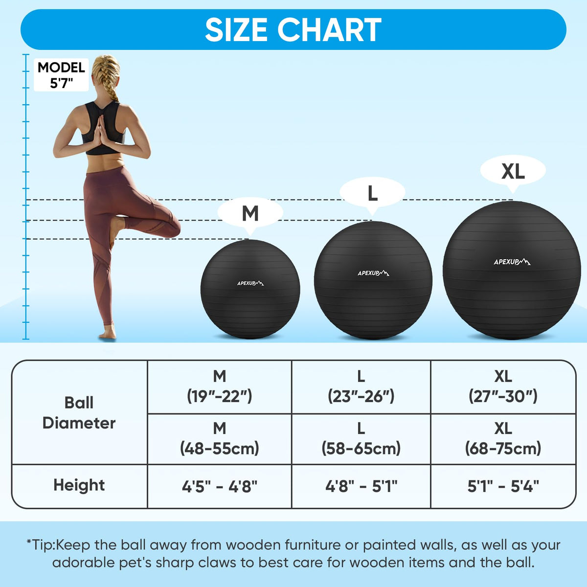 Adjustable Ankle Weights + Yoga Ball P195