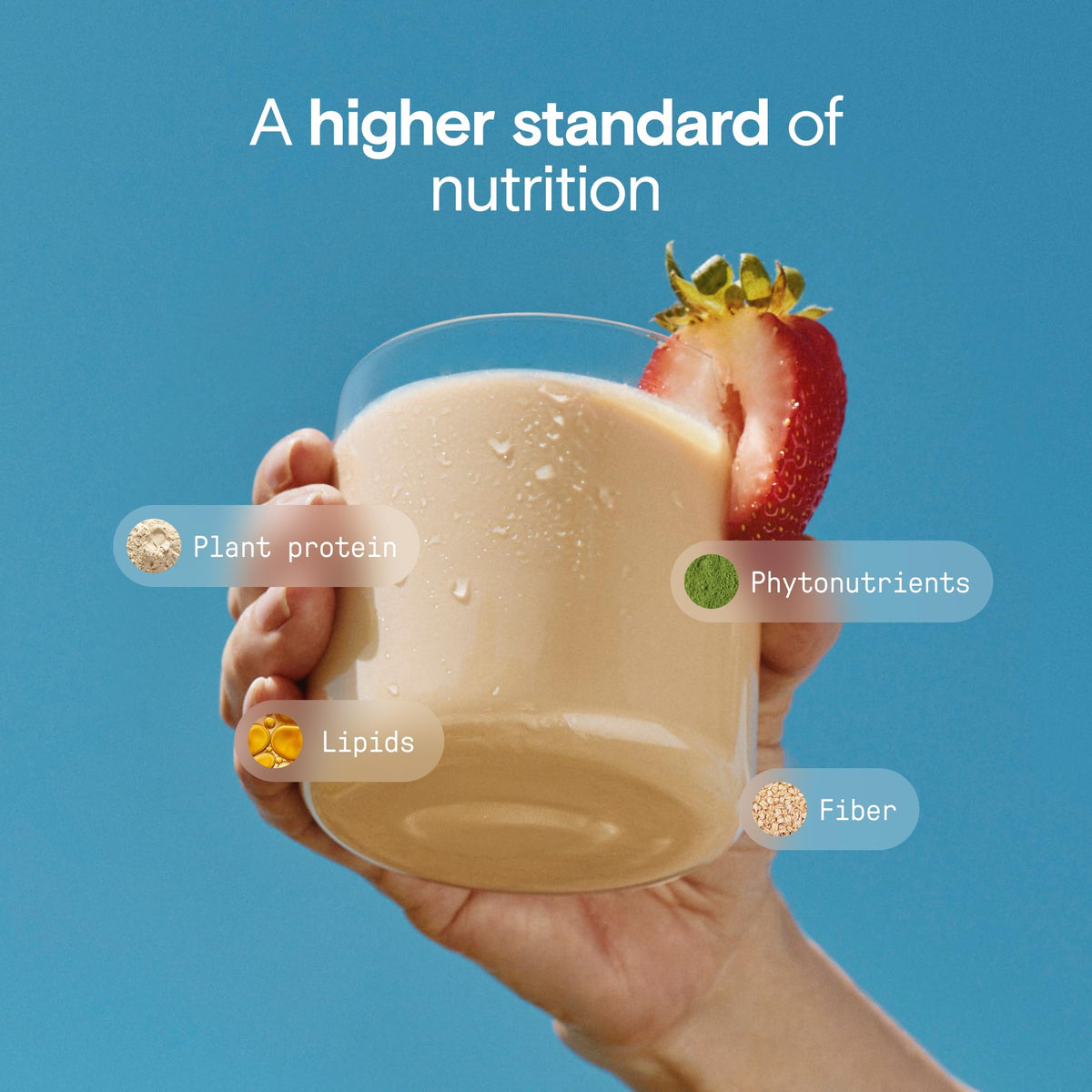 Organic Nutrition Shake, Strawberry, 16g Protein, 12 Pack Y419