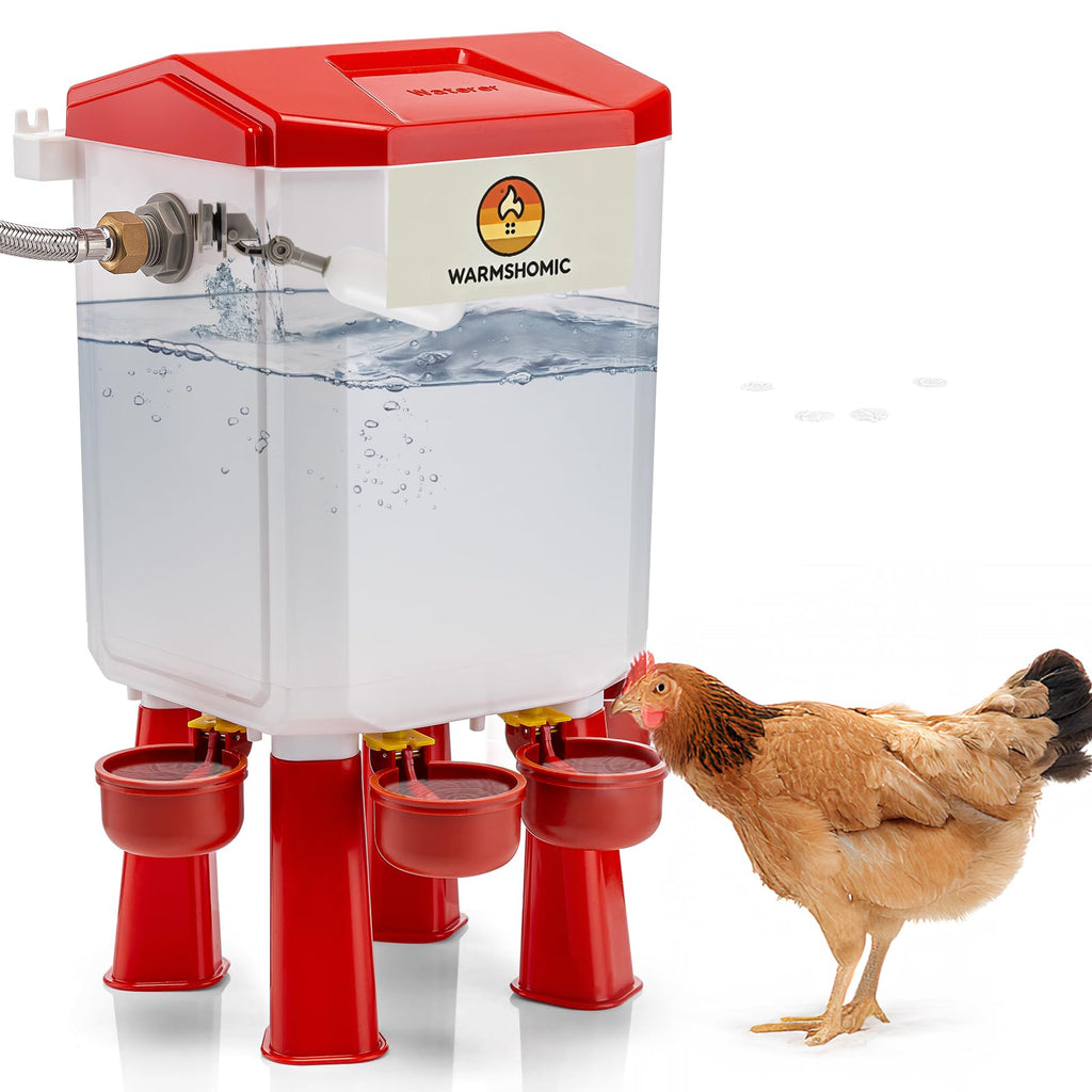Automatic Chicken Waterer with Stainless Steel Hose H589603