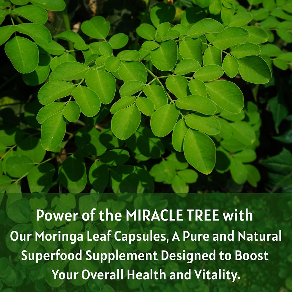 1000 mg Moringa Capsules R552