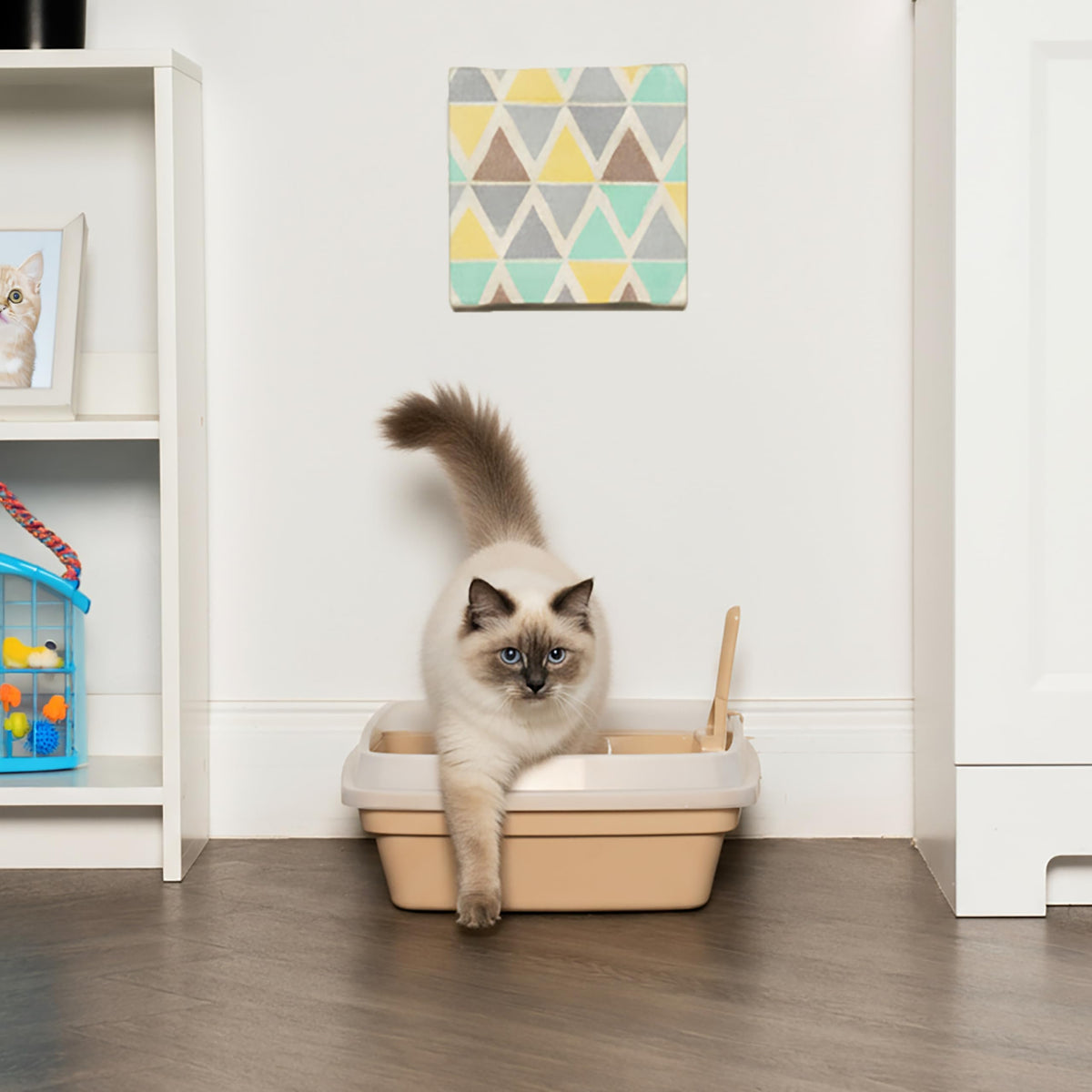 Large Cat Litter Box B468553