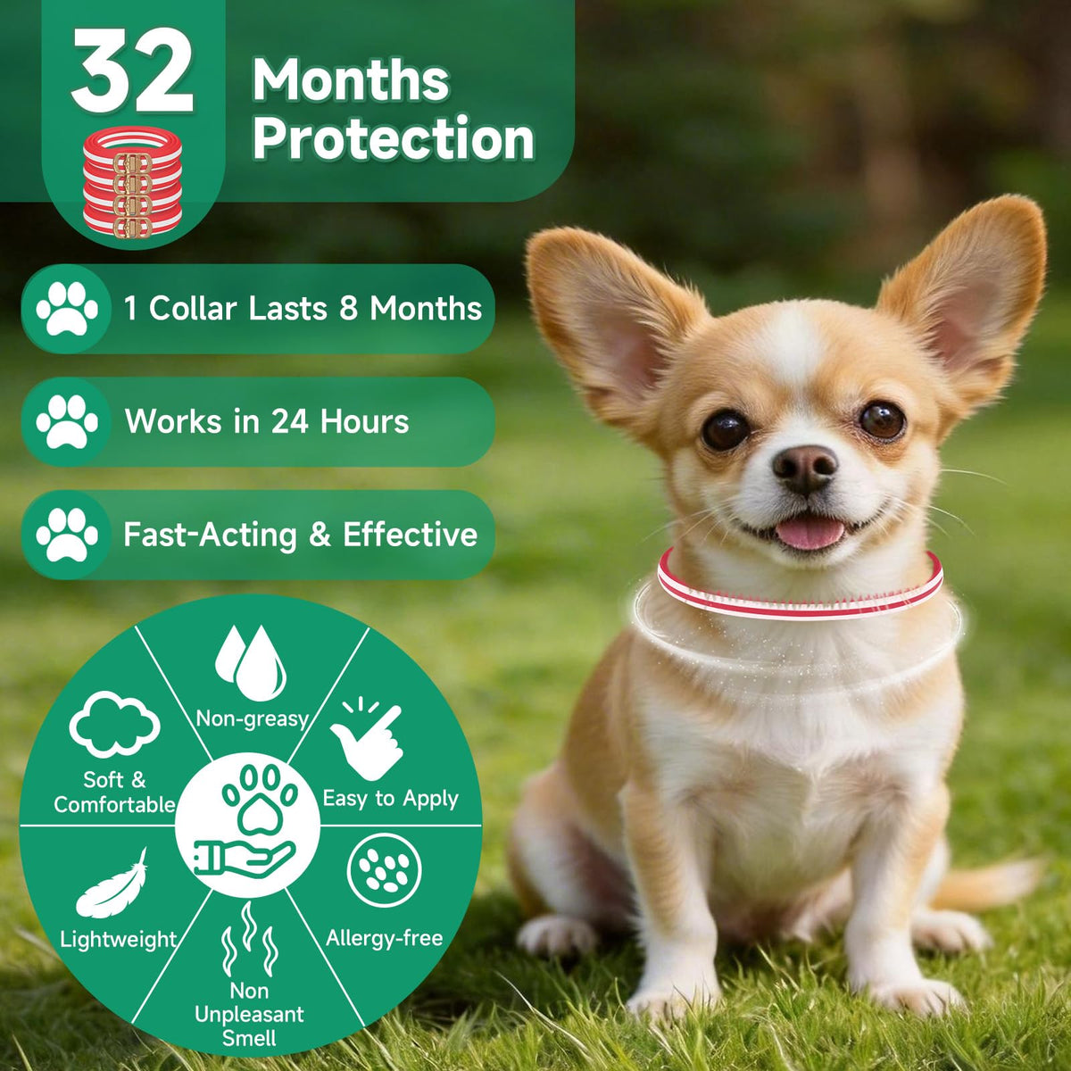 4 Pack Flea and Tick Collar for Dogs D72769