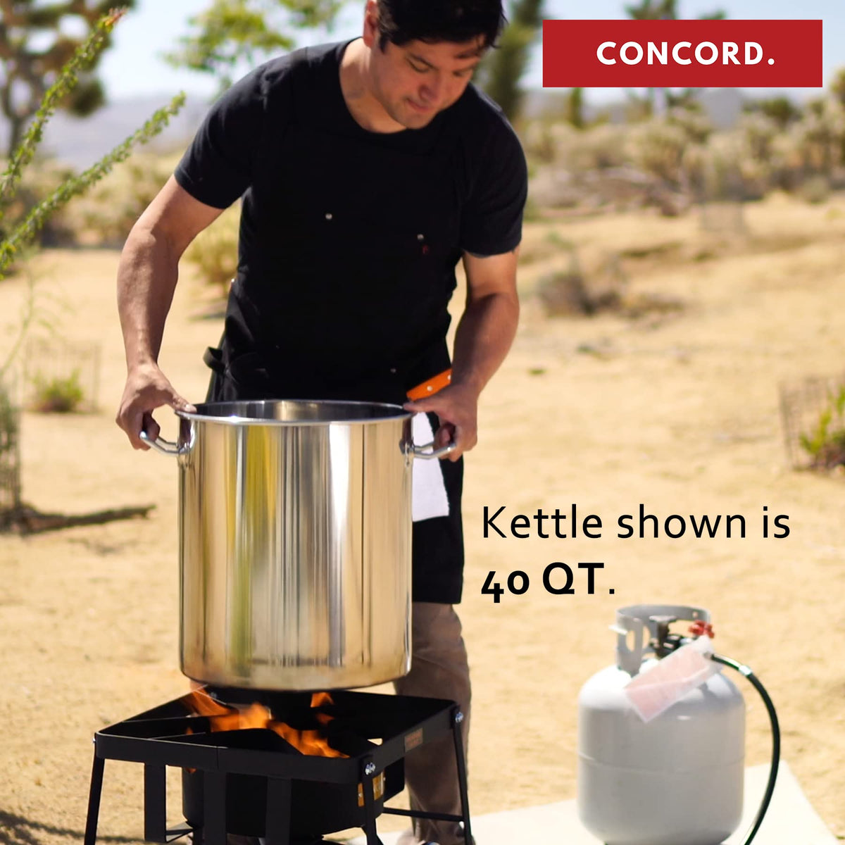 40-Quart Stainless Steel Stock Pot D435