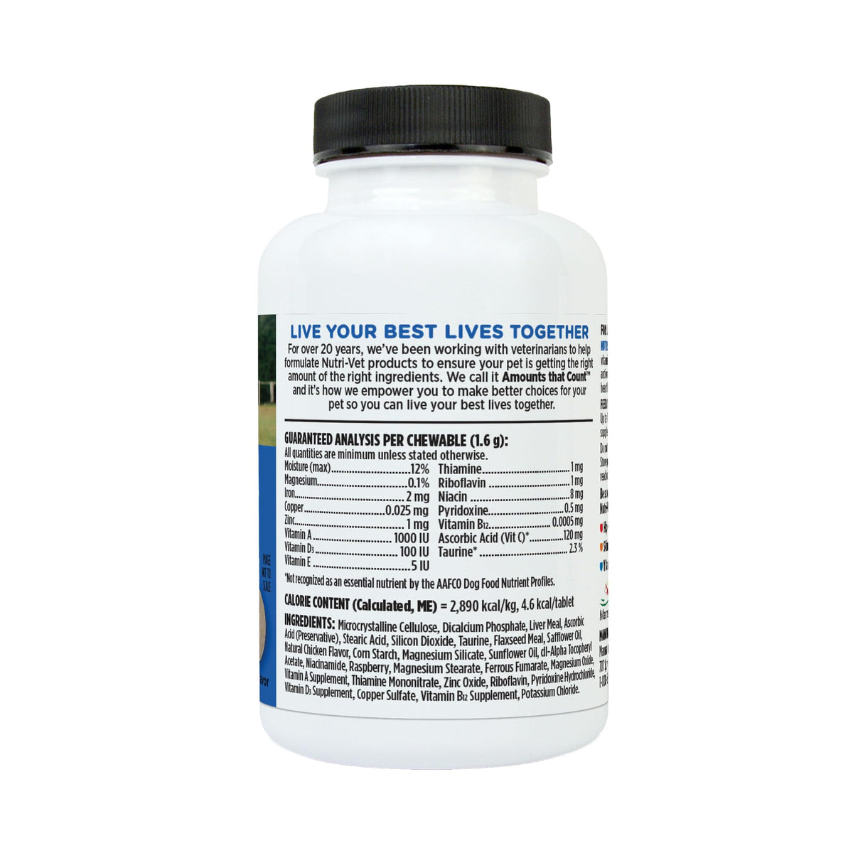 Puppy Multivitamin 60 Chewables M910