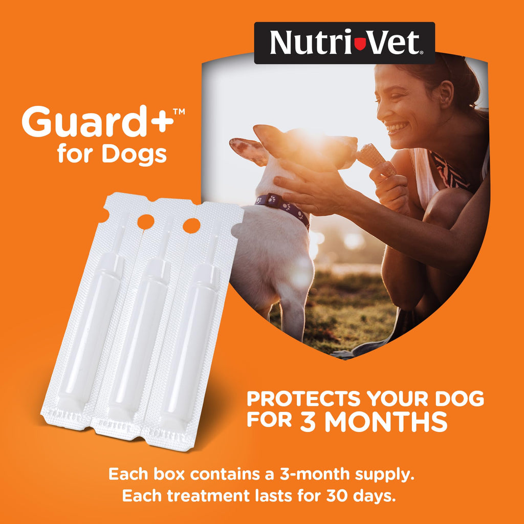 Flea Treatment 3 Doses Z321445