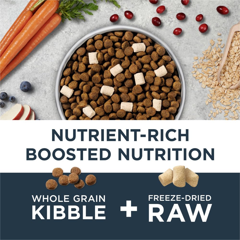 Chicken & Brown Rice Dry Dog Food X8729