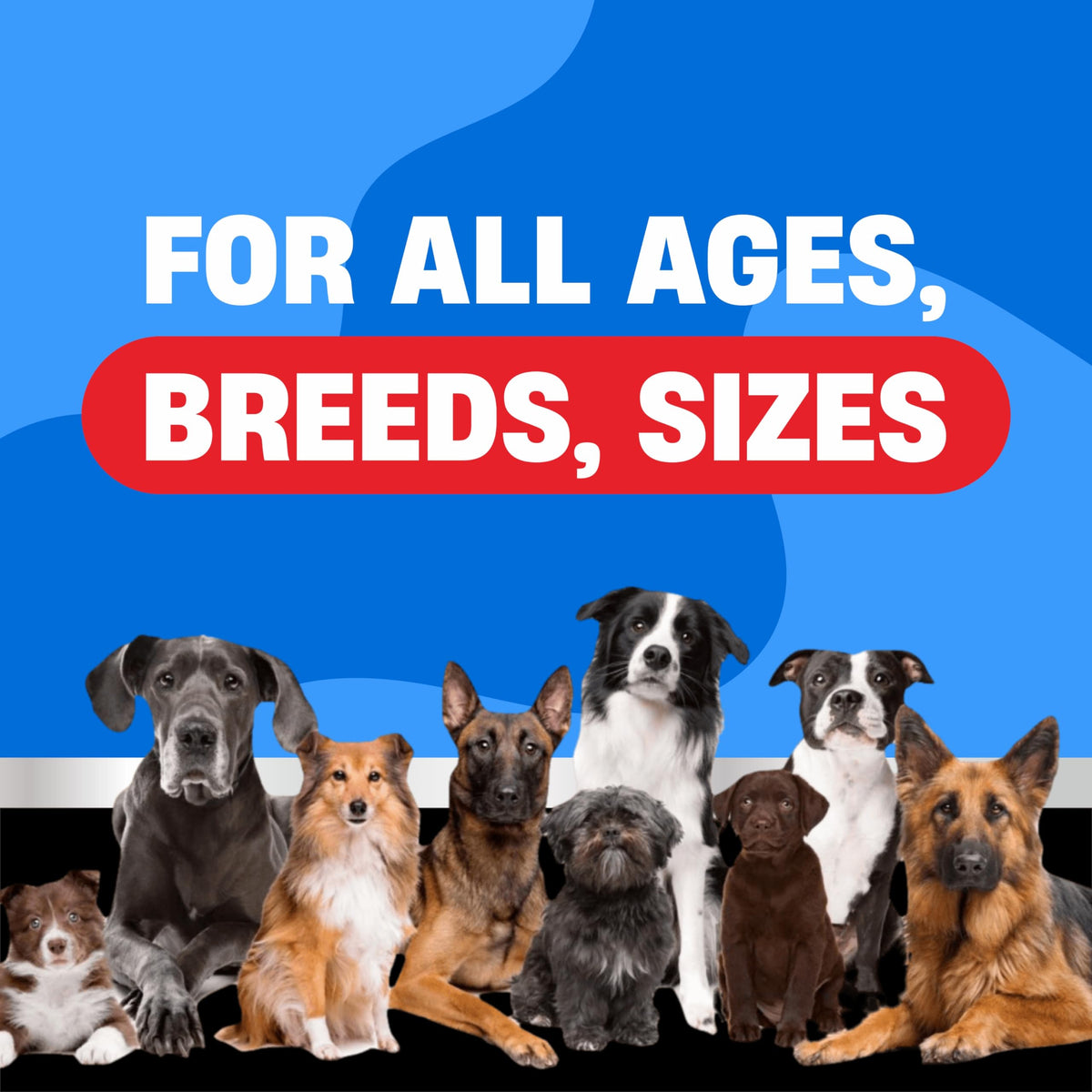 Flea and Tick Chewable Treatment for Dogs Q80123