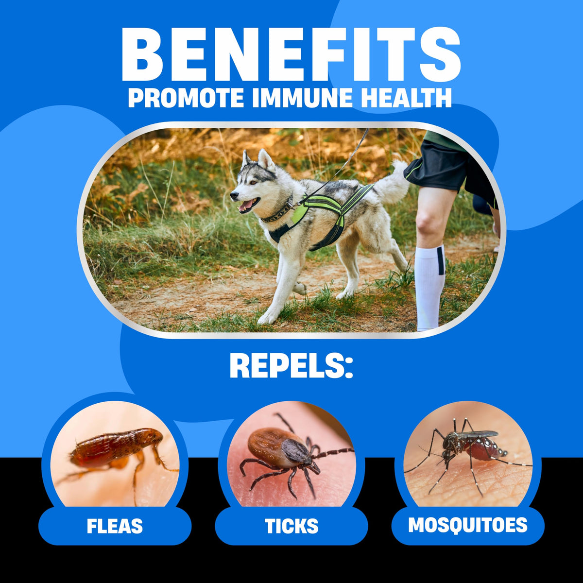 Flea and Tick Chewable Treatment for Dogs Q80123