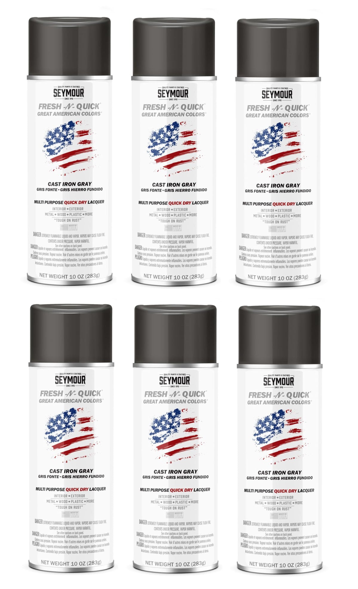 Cast Iron Gray Multi-Purpose Spray Paint 6-Pack A442