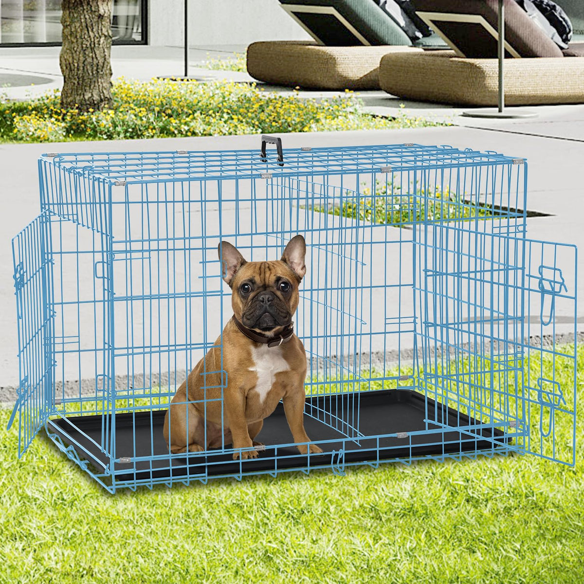 Folding Metal Dog Crate with Plastic Tray & Divider C49456