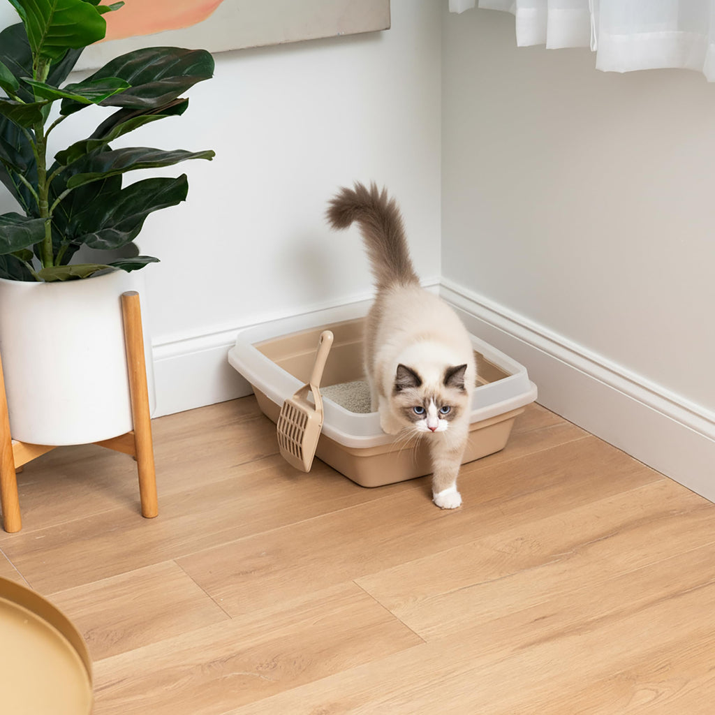 Large Cat Litter Box B468553