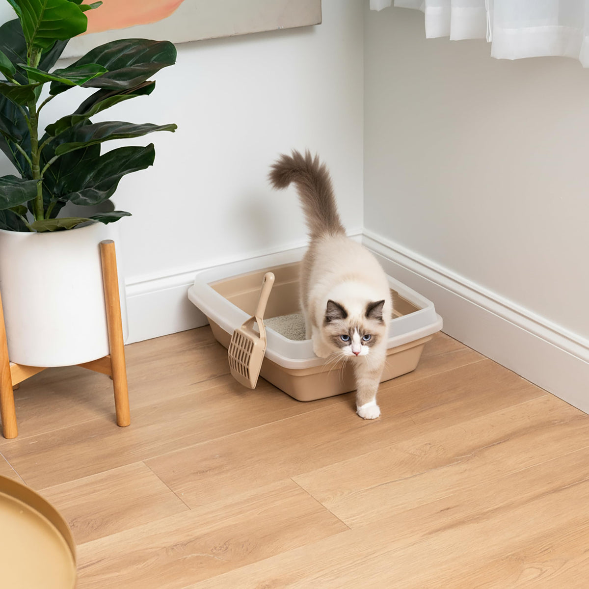 Large Cat Litter Box B468553