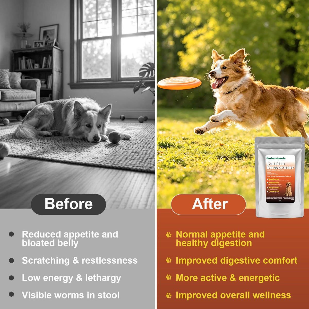Dog Dewormer 100g I14155
