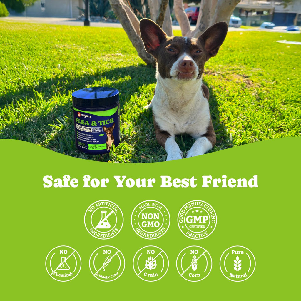 Flea & Tick Prevention for Dogs Chewables K990
