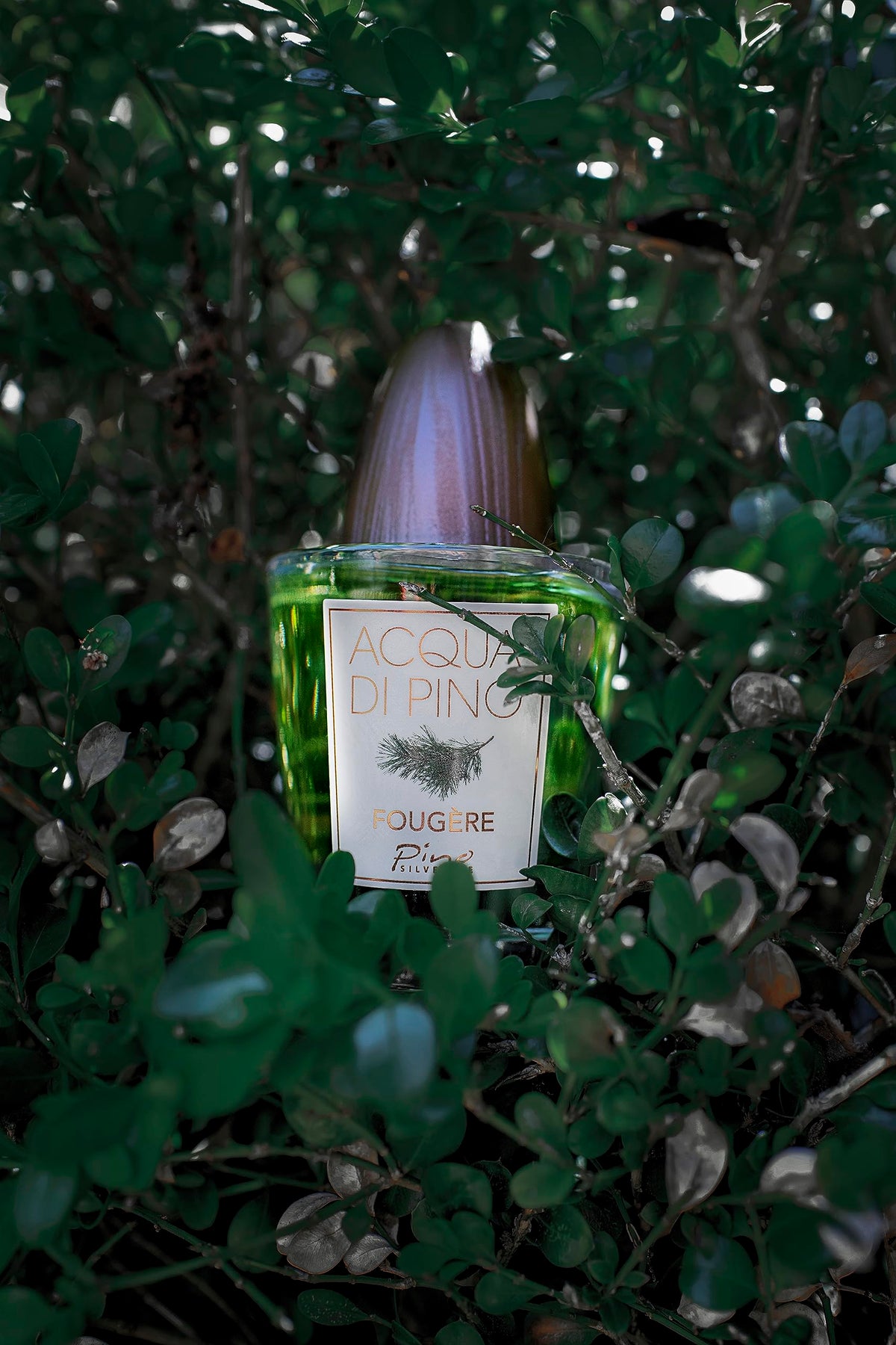 Eau De Toilette Cologne Spray 4.2 Oz R190