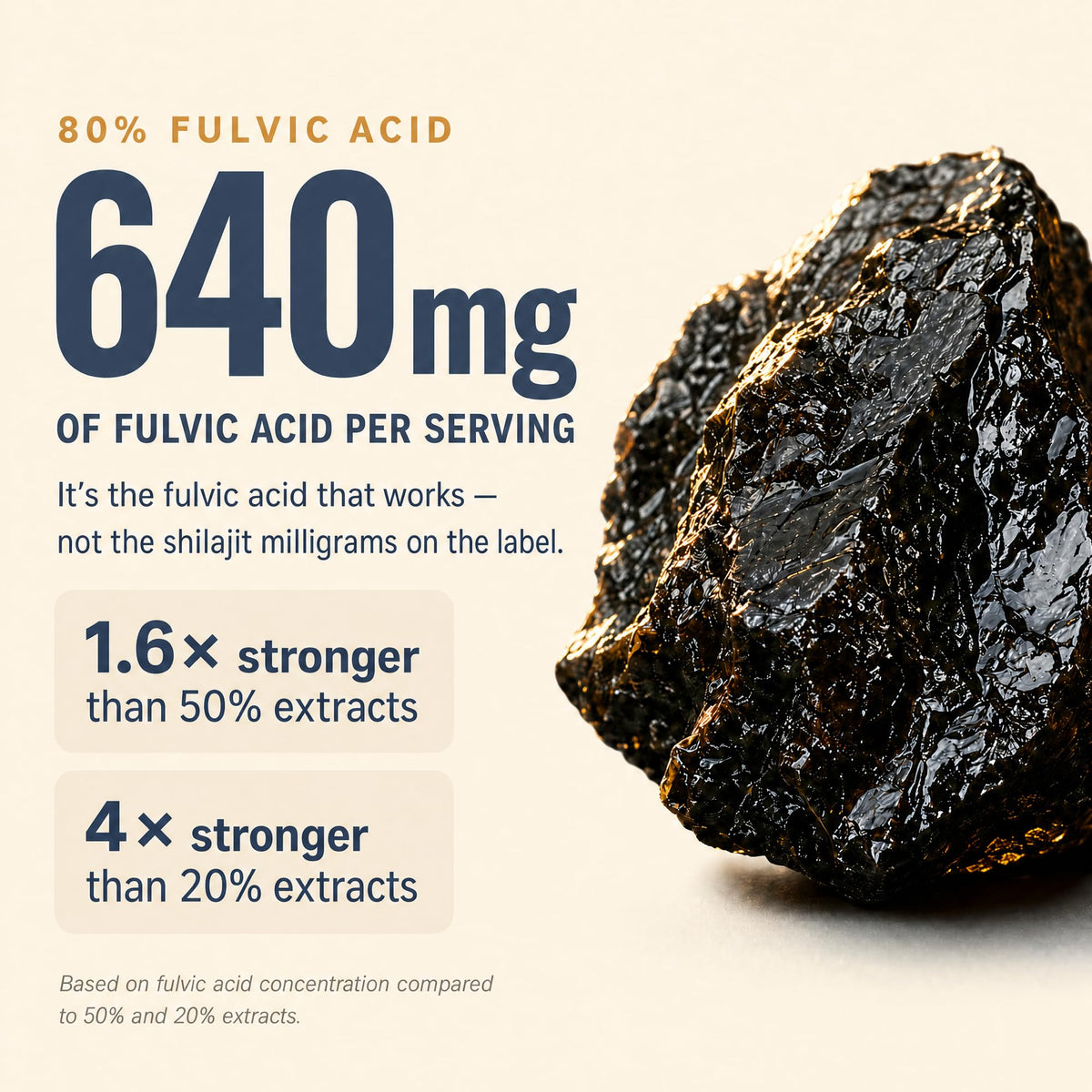 Shilajit 1250 mg 60 Caps W90244