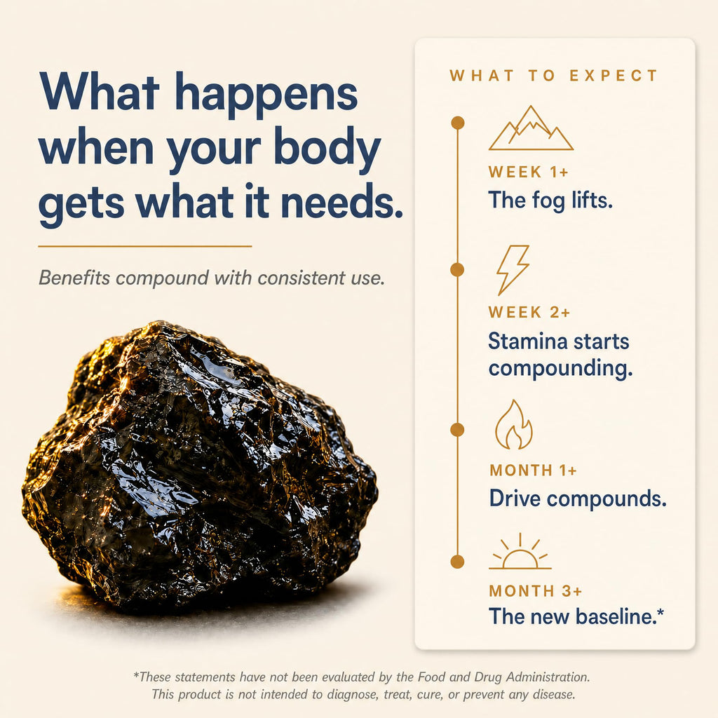 Shilajit 1250 mg 60 Caps W90244