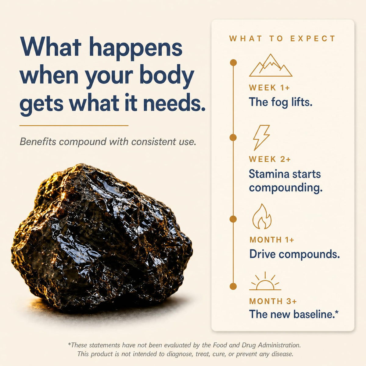Shilajit 1250 mg 60 Caps W90244