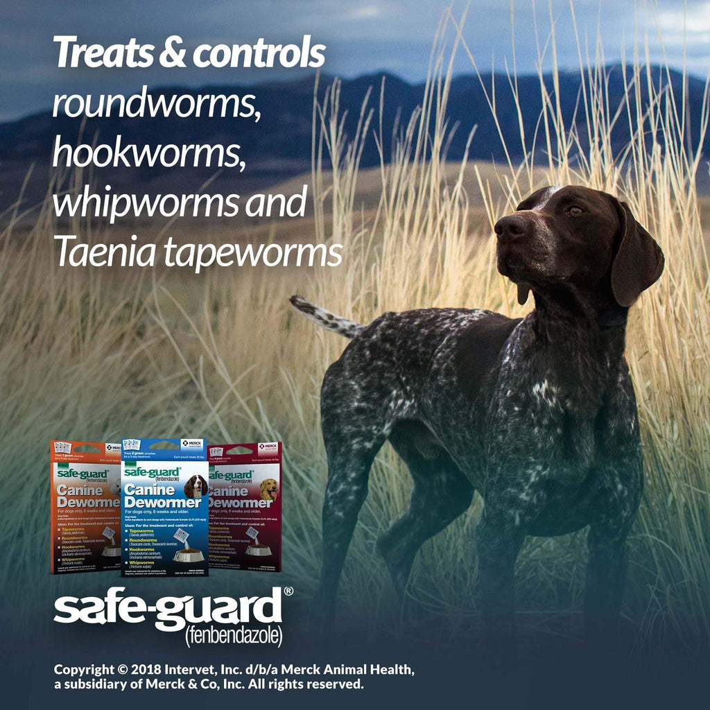 Canine Dewormer 1gm pouch F738130