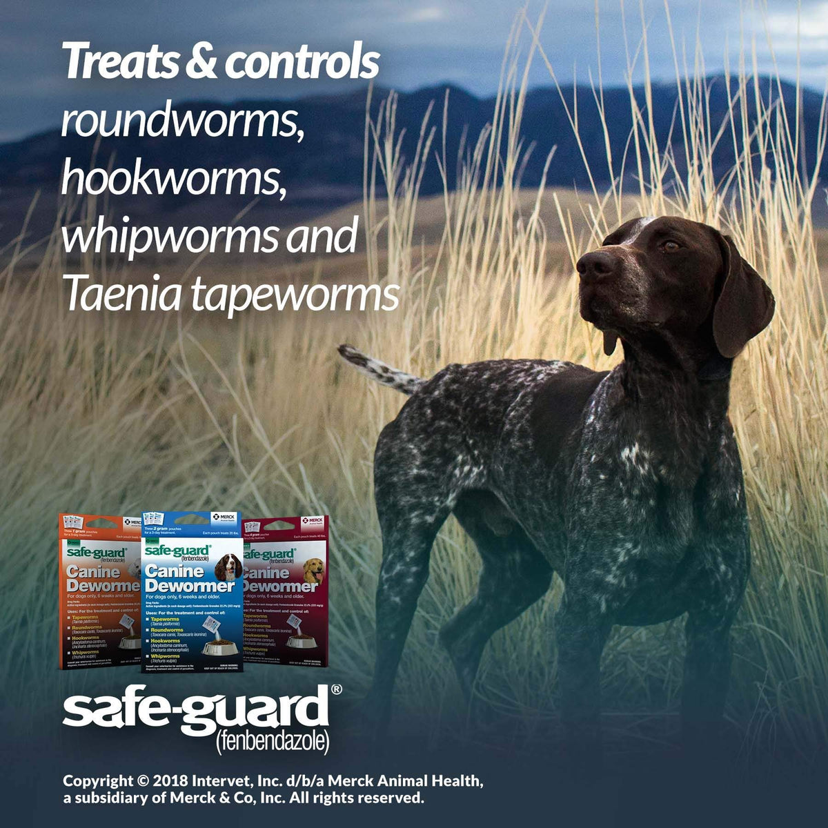 Canine Dewormer 1gm pouch F738130