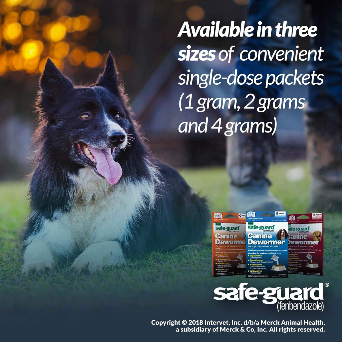 Canine Dewormer 1gm pouch F738130