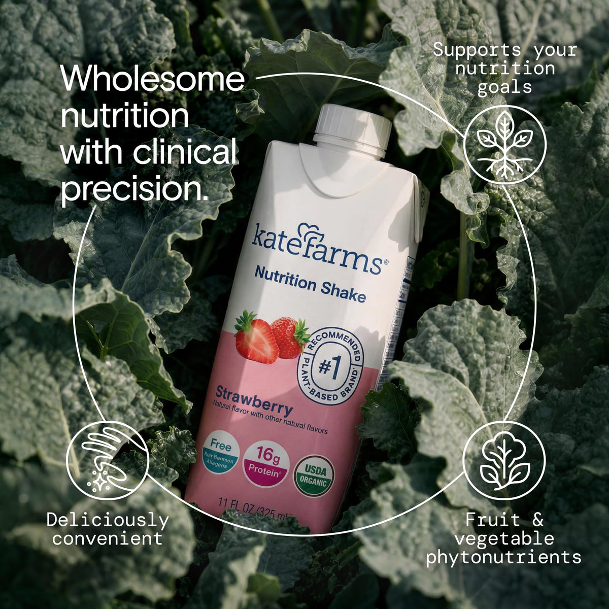 Organic Nutrition Shake, Strawberry, 16g Protein, 12 Pack Y419