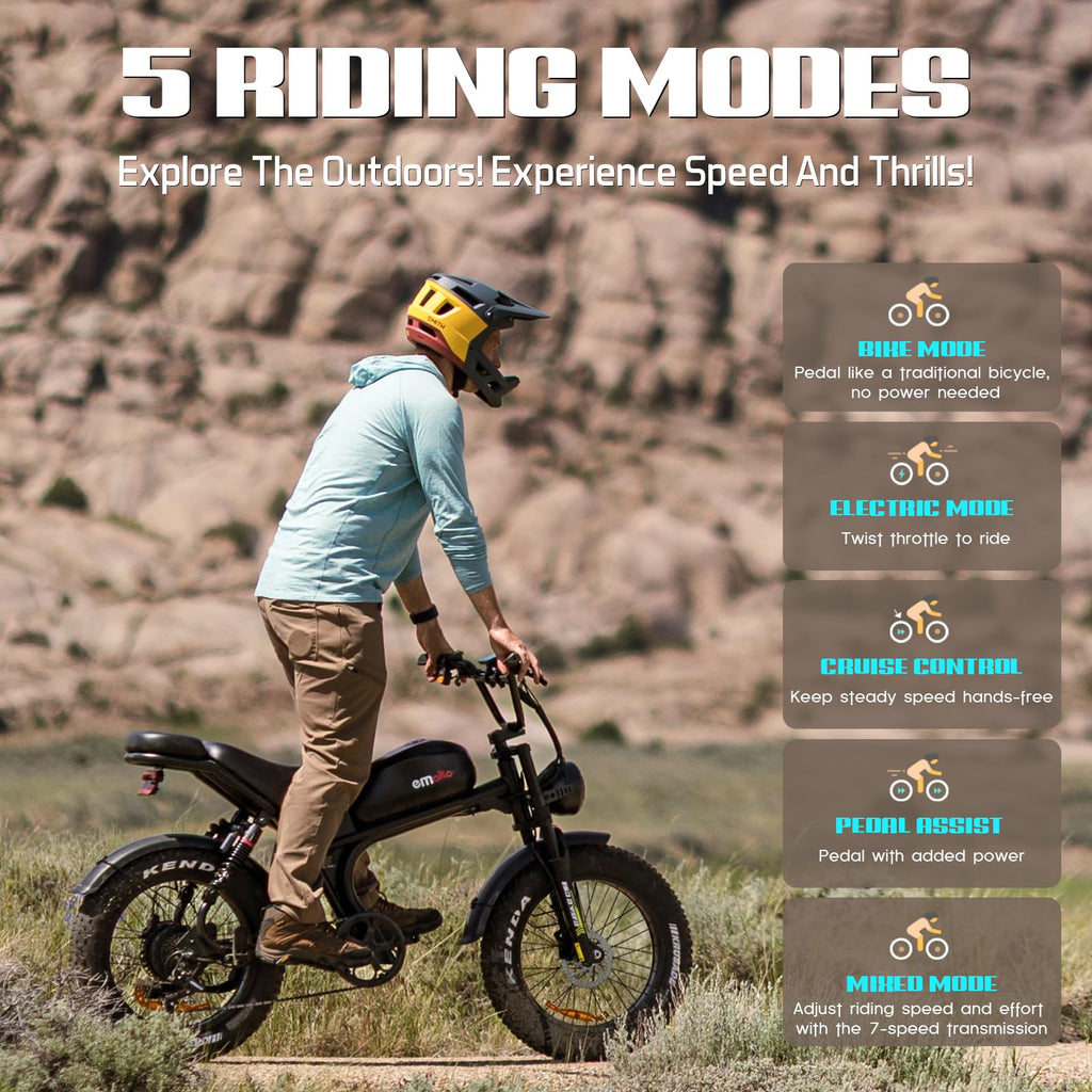Peak 1500W 48V 20Ah 20'' Fat Tire 7-Speed Electric Bike L1748