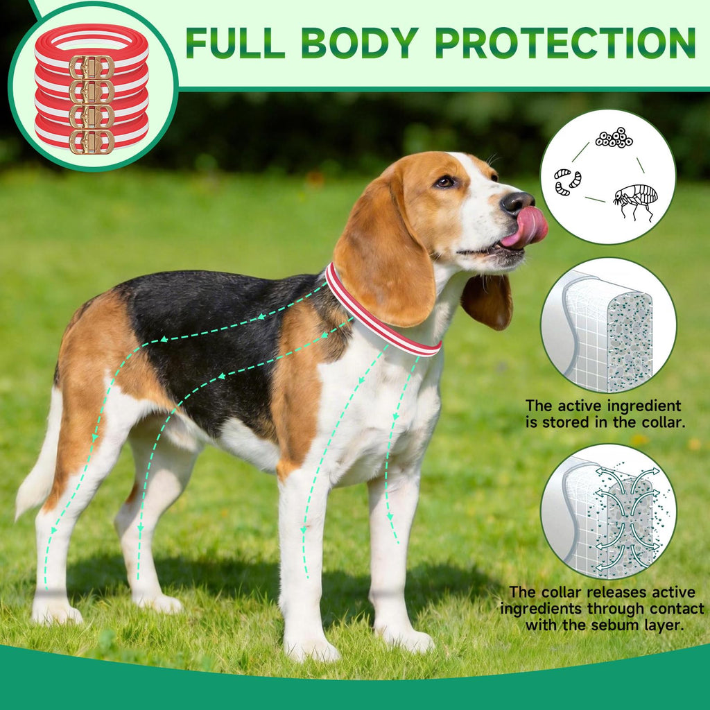 4 Pack Flea and Tick Collar for Dogs D72769