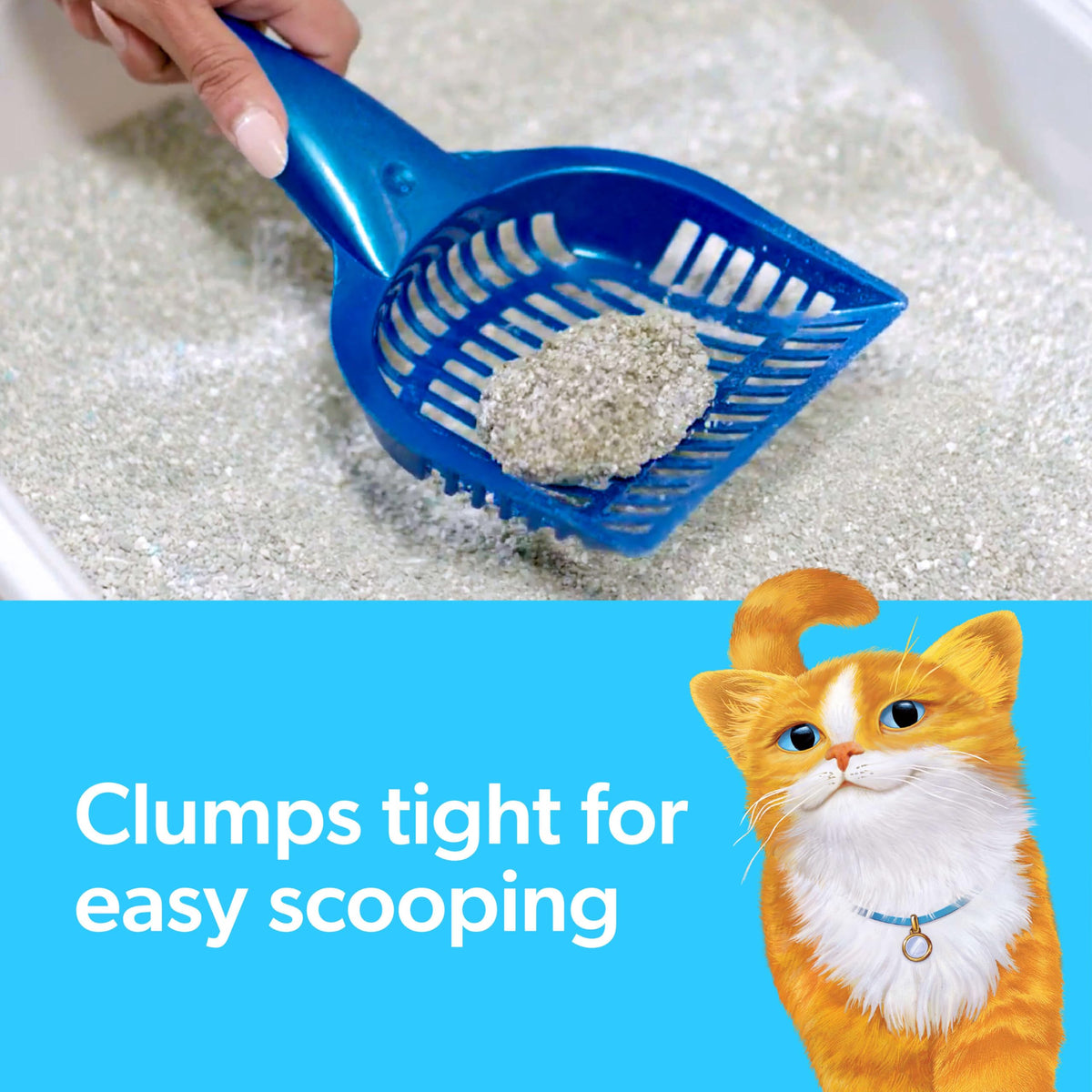Multi Cat Clumping Cat Litter with Ammonia Block Tech 14 lb P310
