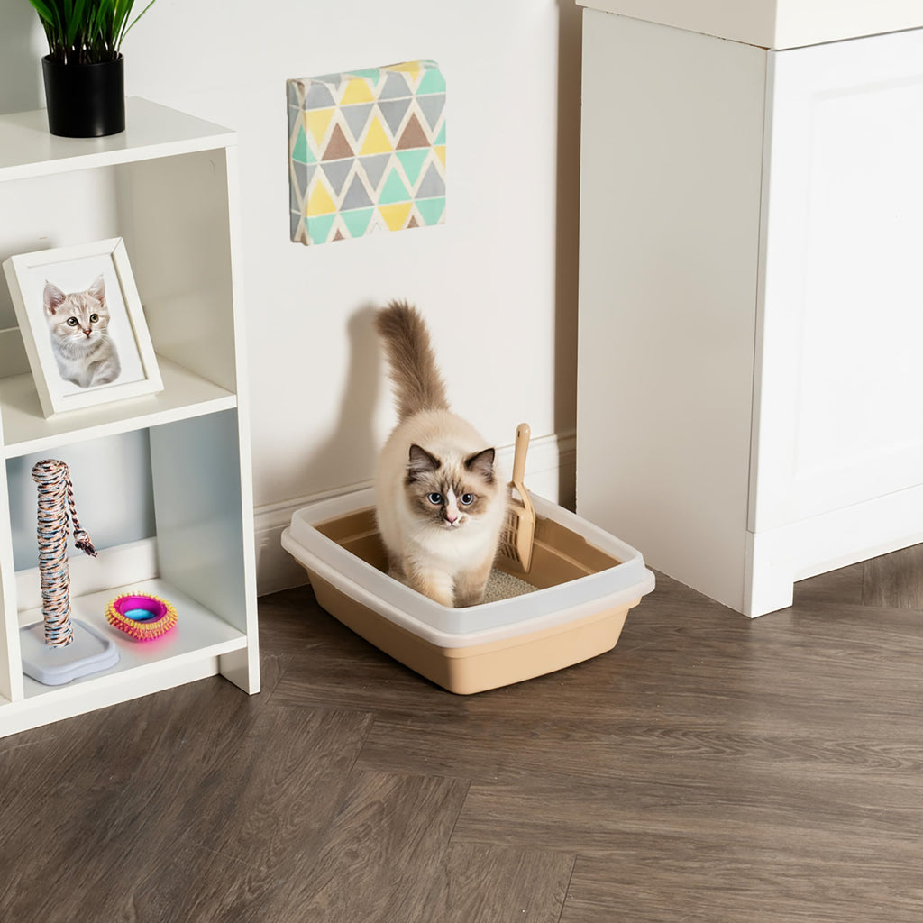 Large Cat Litter Box B468553