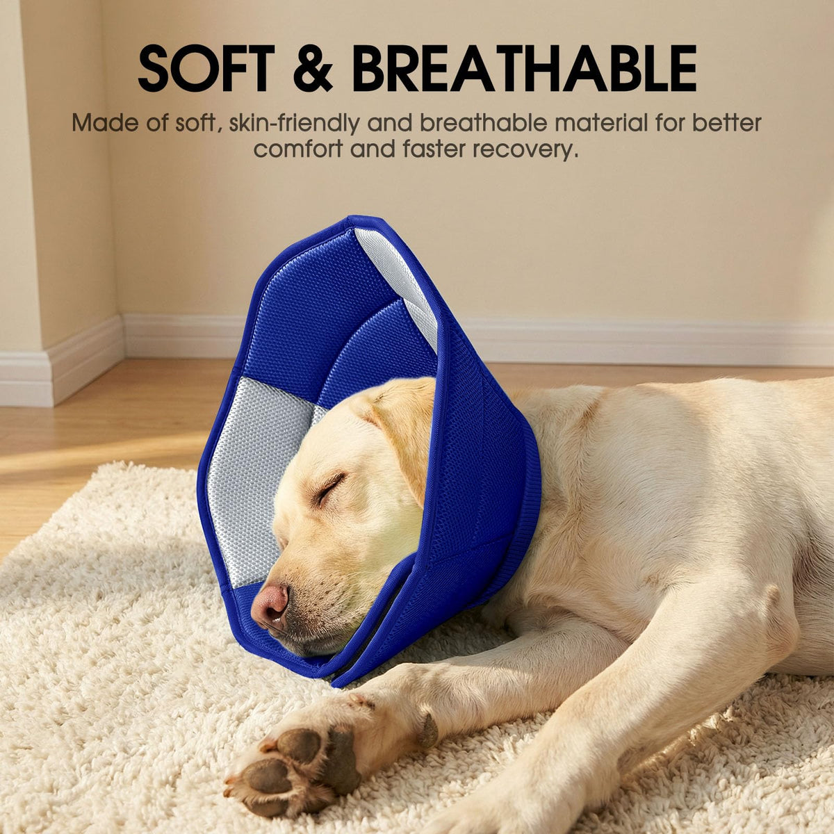 Soft Cone for Dogs J372826